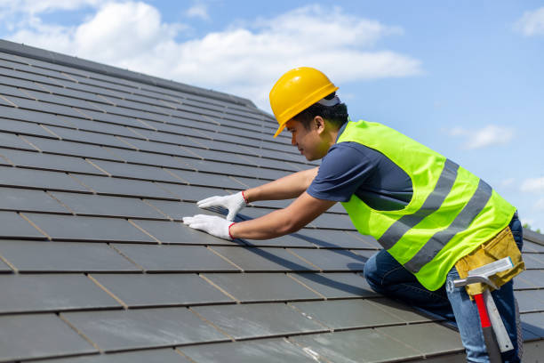 Best Roof Gutter Cleaning  in Aspermont, TX